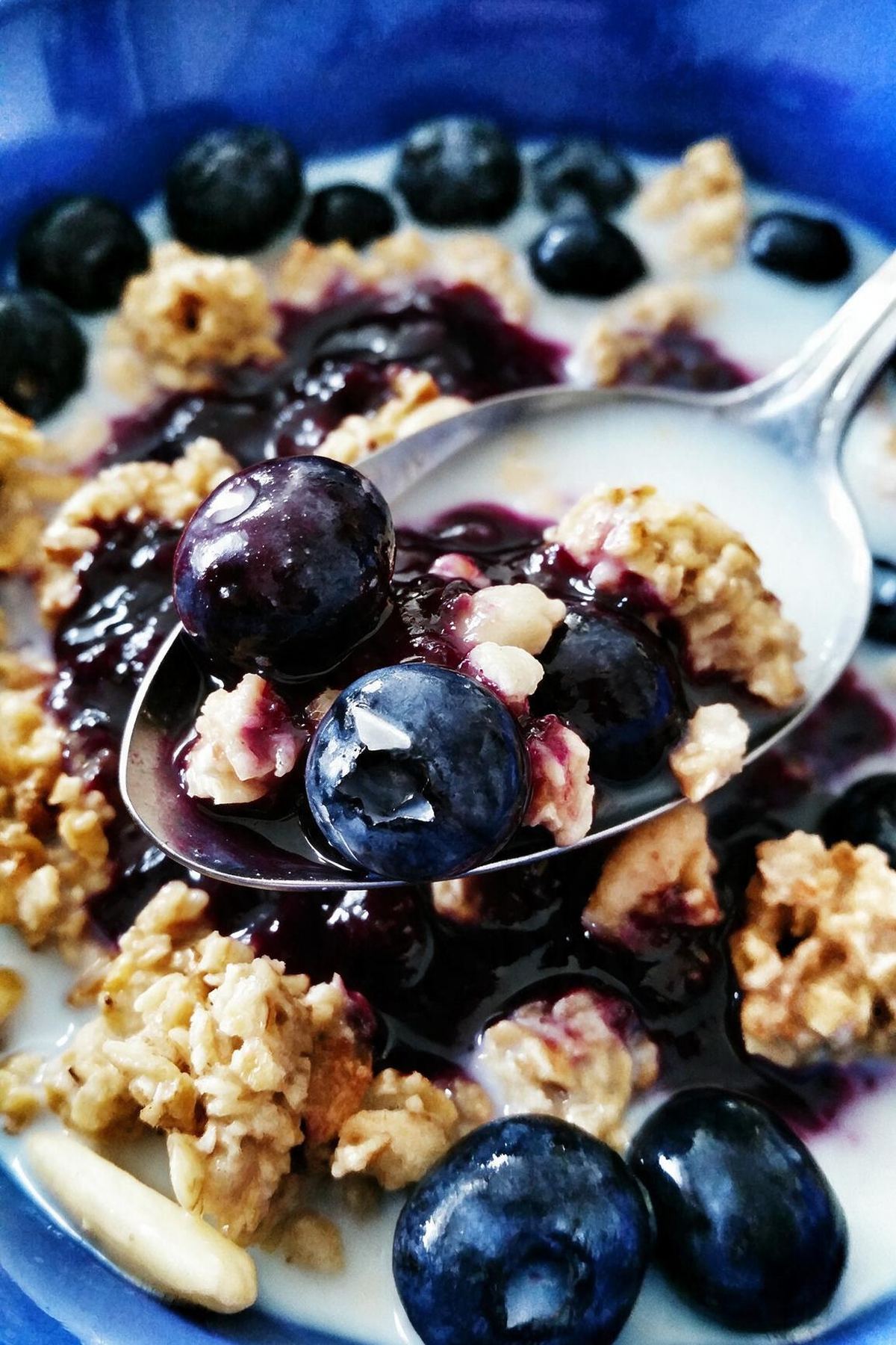 Fruvela Čučoriedka v ovsenej kaši