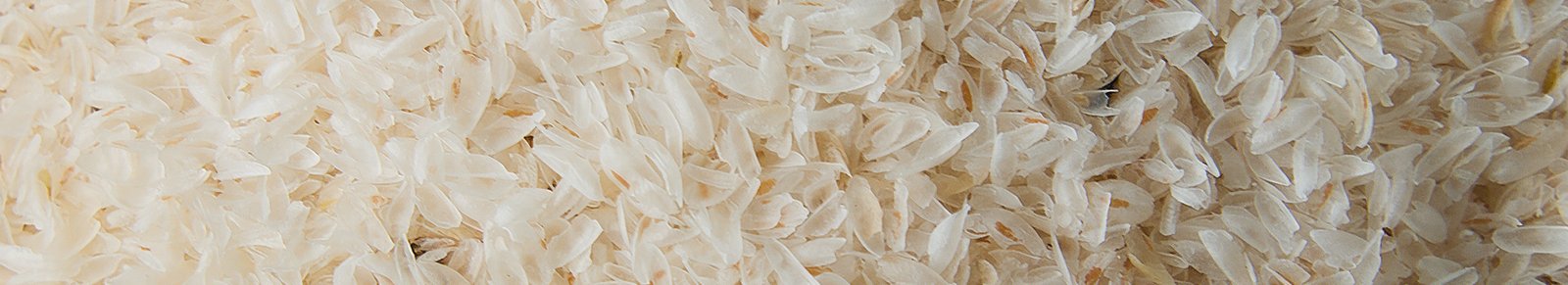 Šupky skorocelu indického psyllium husk Liovela
