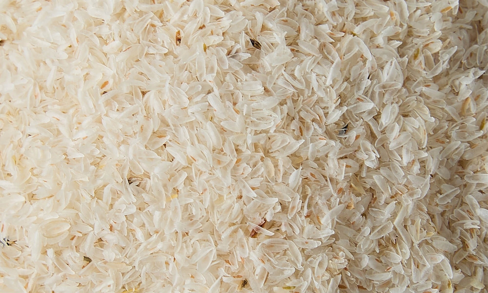 Skorocel vajcovitý – čo to je, ako funguje a ako ho užívať?